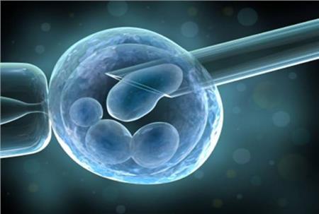 Έγχυση ενήλικων βλαστοκυττάρων